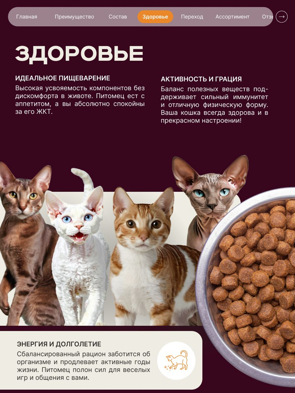 Корм сухой для кошек породы Ориентальная кошка, с индейкой, 400 гр, QUATTRO