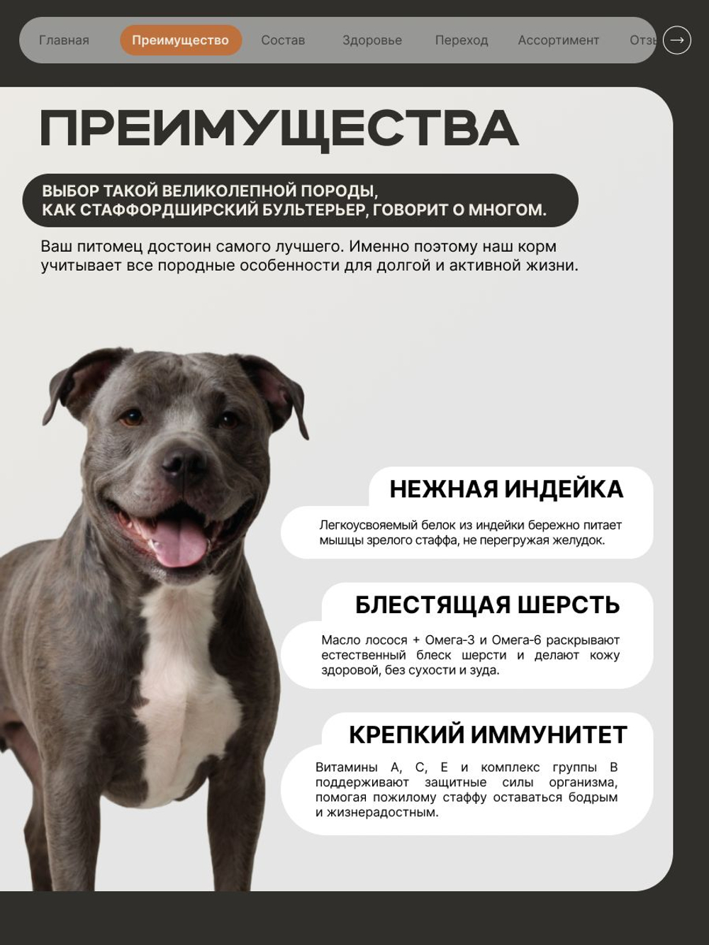Корм сухой для пожилых собак породы Стаффордширский бультерьер старше 5 лет, с индейкой, 3 кг, QUATTRO