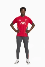 Штаны adidas Liverpool FC 25/26 Competition Training - серый
