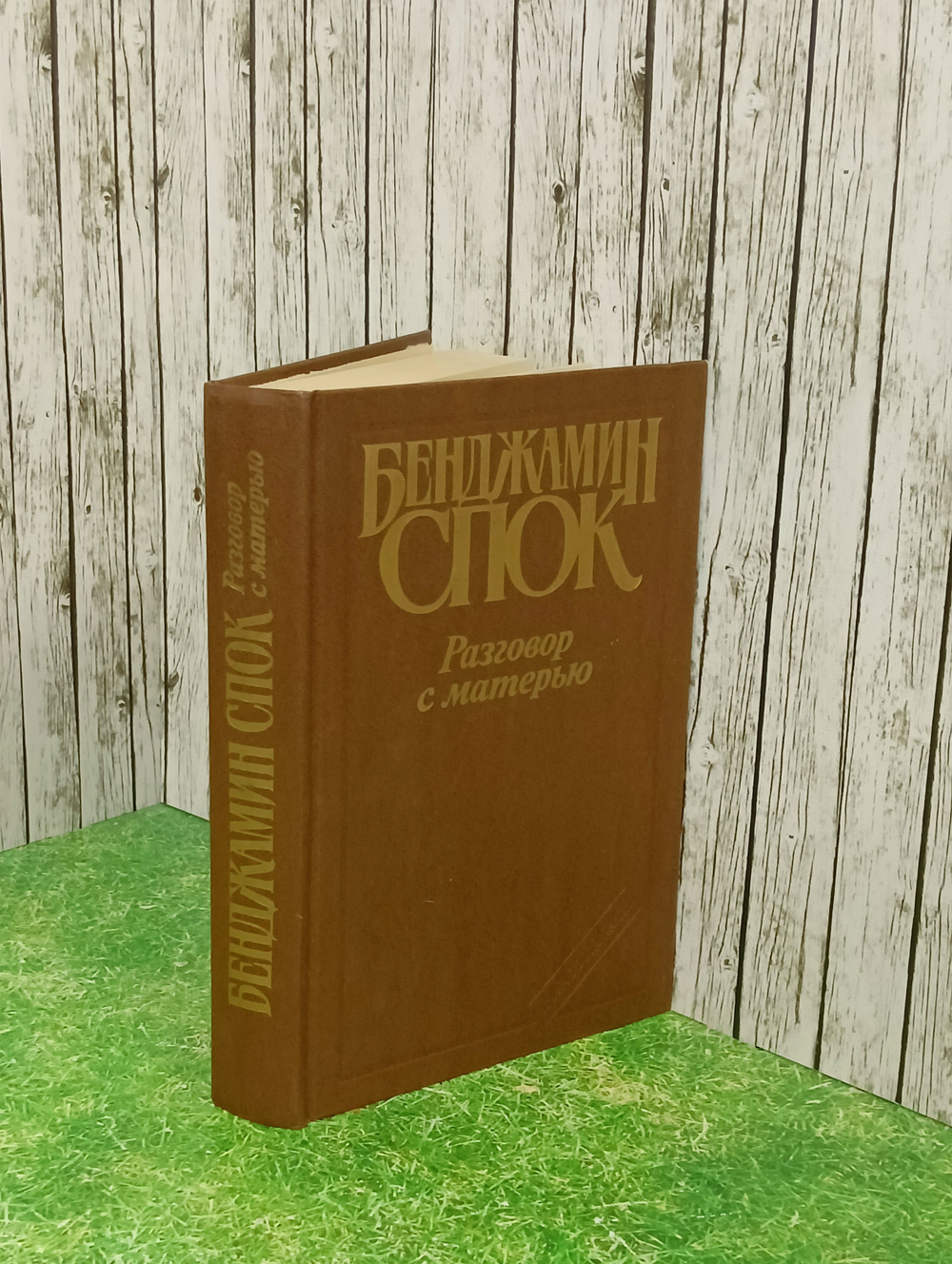 Книга " Разговор с матерью"