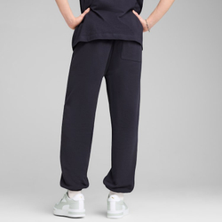 Брюки спортивные мужские PUMA PREMIUM ESS Relaxed Graphic Sweatpants TR cl