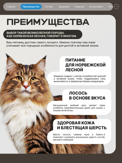 Корм сухой для взрослых кошек породы Норвежская лесная, с лососем, 5 кг, QUATTRO