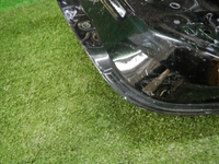DSCN2409.jpg