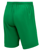 Шорты игровые DIVISION PerFormDRY Union Shorts, зеленый
