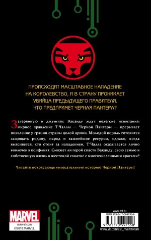 Черная Пантера: кто он?