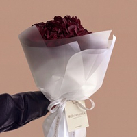 Красные гортензии Red Amor