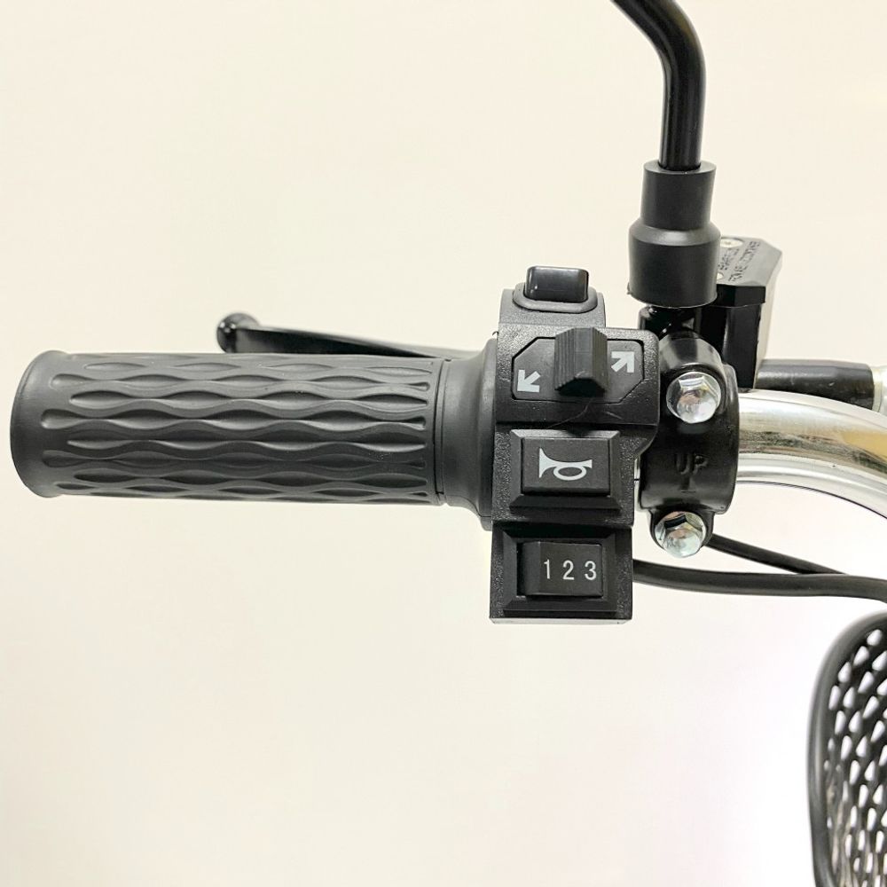 Электробайк GreenCamel Транк Монстр (R16FAT 800W 48V15Ah) гидравл. тормоз