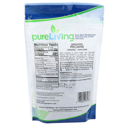 Pure Living, органический пророщенный пекан, с солью, 170 г (6 унций)