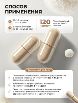Ежовик гребенчатый мицелий капсулы