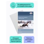Папка для акварели А3, 50л, 200гр/м, Гамма Студия, среднее зерно