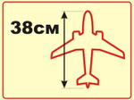 Модель самолета Ту-134Ш (М1:100, ВВС России, RF-66031, 36)