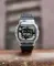 Наручные часы Casio DW-5600SKC-1E