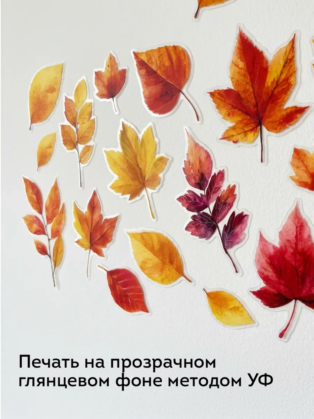 Набор наклеек на окно Осенние листья