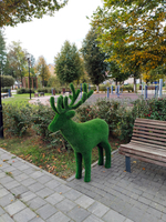 Марал