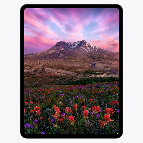 Планшет Apple iPad Pro 13 M5 (2025) 256Gb Wi-Fi (Silver)