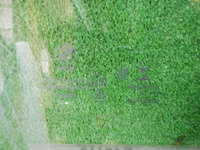 DSCN7788.jpg