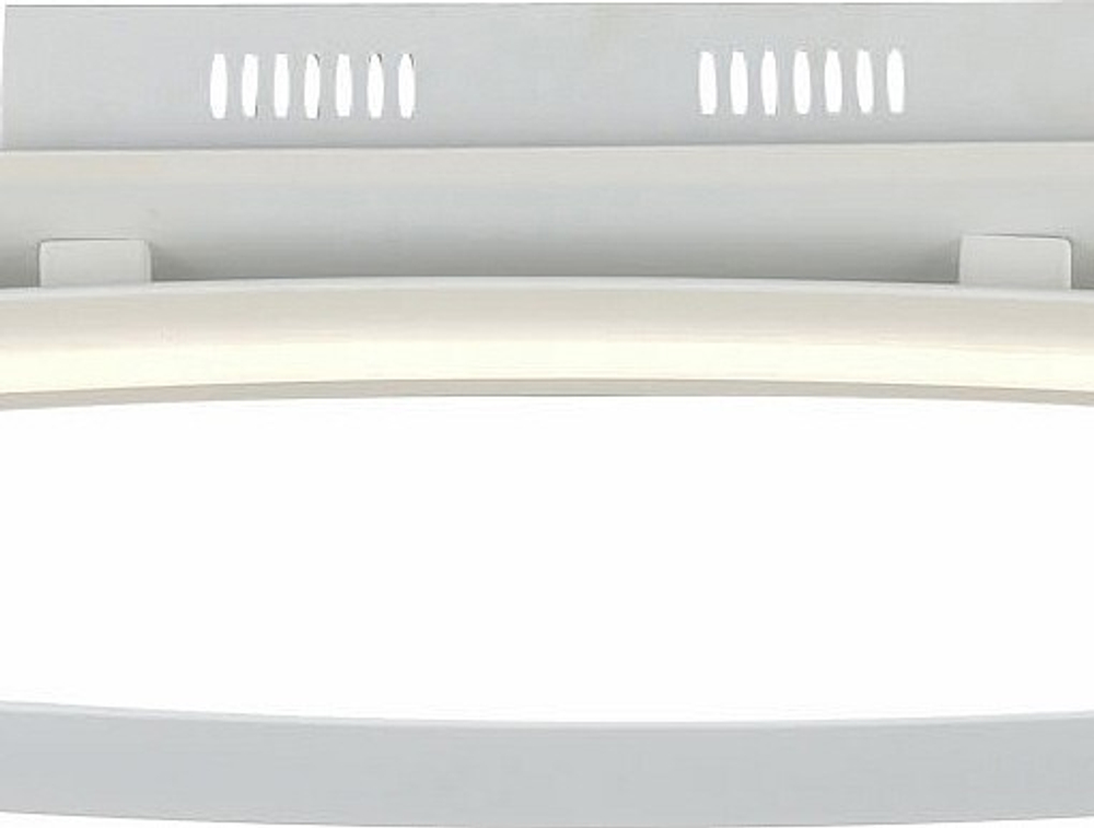 Накладной светильник ST-Luce SL920 SL920.102.01