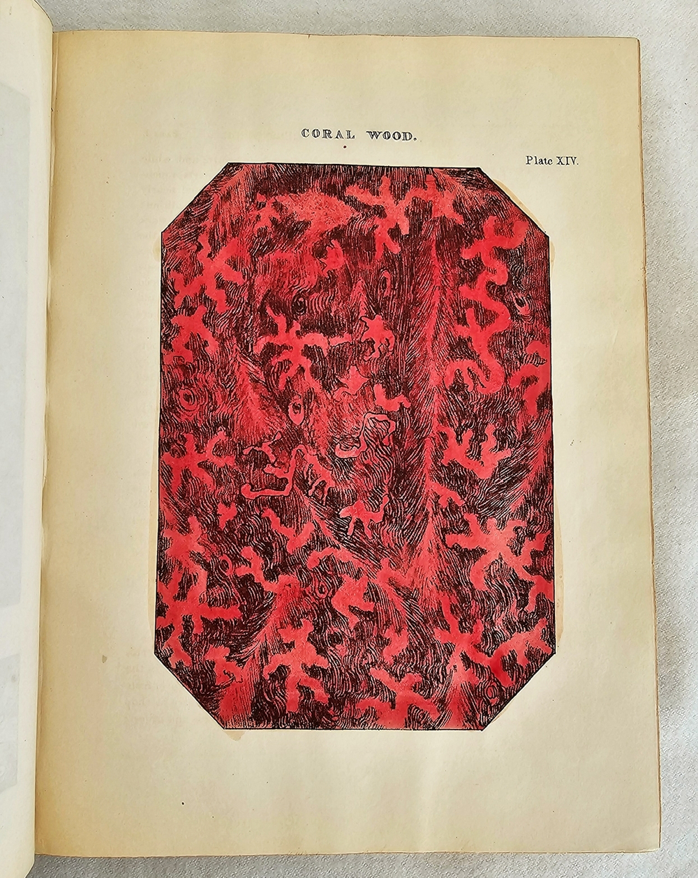 "The decorative painters and glaziers guide; containing the most approved methods of imitating oak, mahogany, maple, rose, cedar, coral, and every other kind of fancy wood". Whittock, N.. 1841г. - антикварная книга