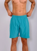 Мужские теннисные шорты RS Performance Shorts REC (AM-263-005)