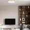 Потолочный светильник Flims 10228/B Loft It