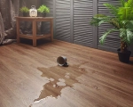 Кварцвиниловая плитка Aquafloor Real Wood Glue AF6051