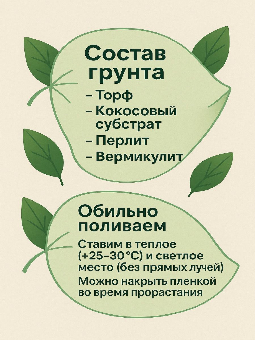 Каладиум Лат Крабанг клубень