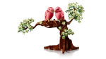 Конструктор LEGO Ideas 21365 Love Birds