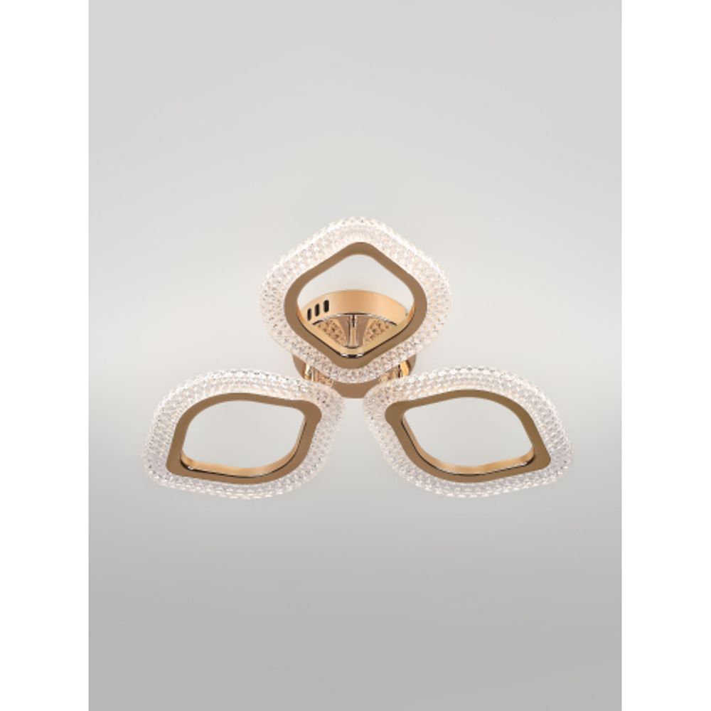 Светильник потолочный светодиодный Rivoli Erminia 6177-703 LED 36Вт 3000-6000К с пультом | Rivoli