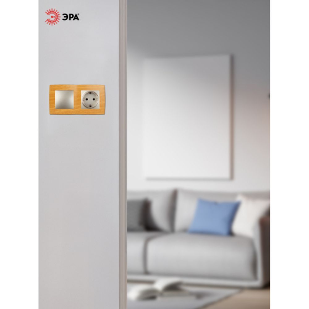 12-5002-07 ЭРА Рамка на 2 поста, Эра12, ольха | Эра 12