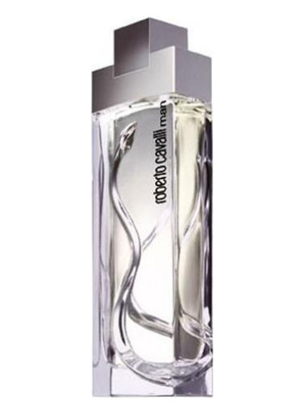 Roberto Cavalli Man