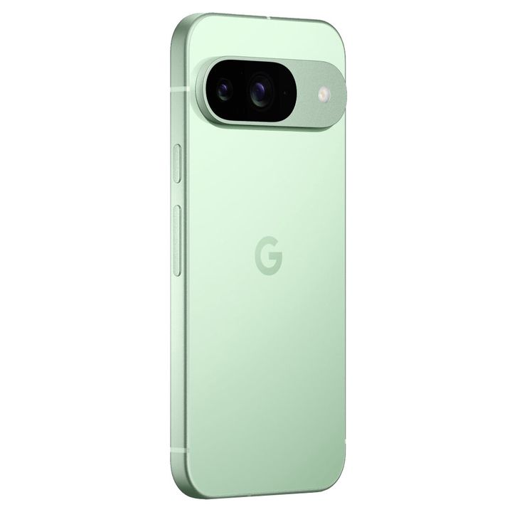 Смартфон Google Pixel 9 12/256Gb SIM+eSIM Wintergreen Global