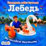 Бамперная лодка «Лебедь» катамаран ручной, взрослый, 175×145×160 см