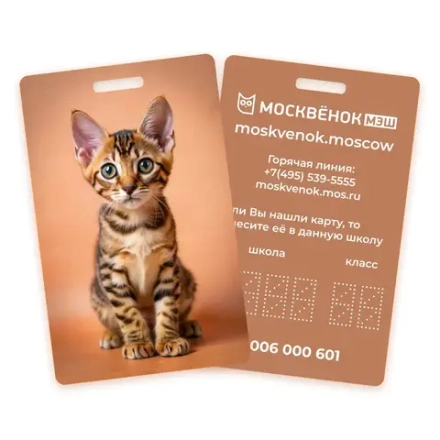 Карта Москвёнок CATS №2 (проход + питание)