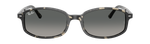 Ray-Ban RB2232 133371 Tortoise