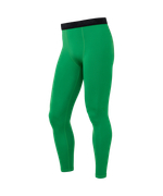 Тайтсы компрессионные утепленные Jogel CAMP 2 PerFormDRY Baselayer Tights Warm, зеленый 72