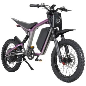 Электробайк Mangosteen FT-07 Mini 48V1000W18.2A (В НАЛИЧИИ)