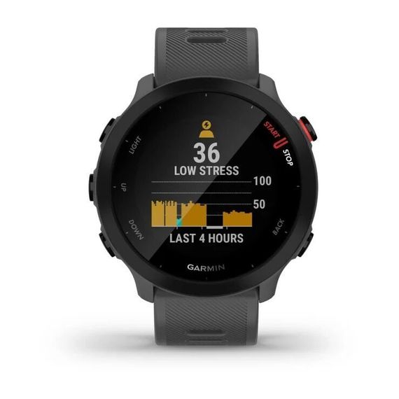 Умные часы Garmin Forerunner 55 Gray