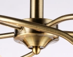 Подвесная люстра TR3199/5 SB/CL/FR бронза/прозрачный/белый матовый E27/5 max 40W D600*485
