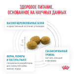 Royal Canin Hypoallergenic Small Dog Canine Гипоаллердженик Смол Дог канин Корм сухой диета для взрослых собак мелких пород при пищевой аллергии 3,5кг
