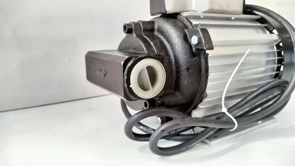 Насос (масло) для перекачки масла, роторный, 220V 20-40 л/мин (1 шт.)