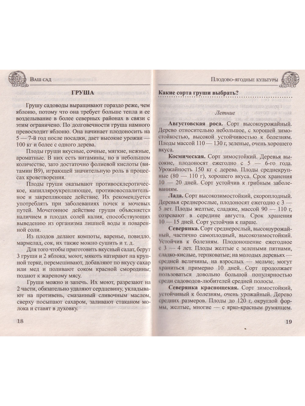 Ваш сад. Практический справочник в вопросах и ответах
