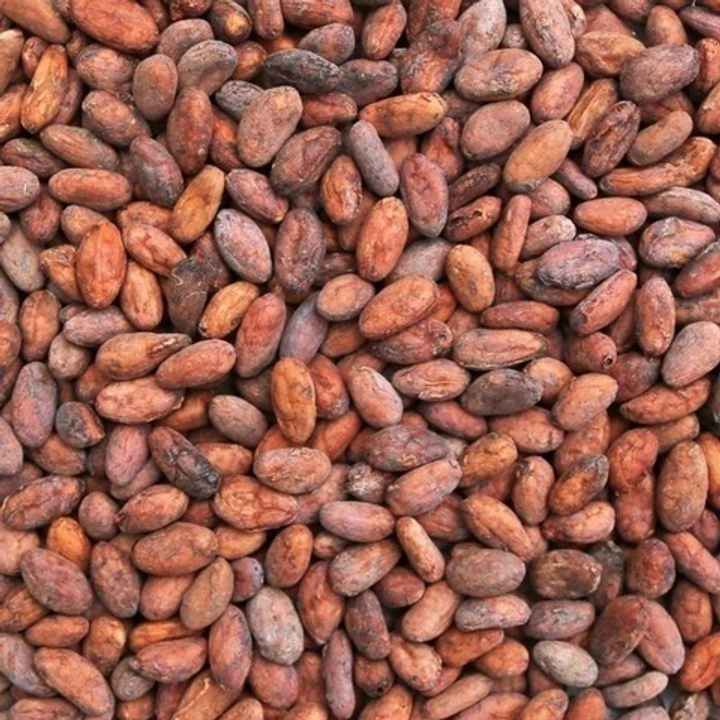 Какао бобы Indian Bazar Cacao Beans raw необжаренные, неочищенные, 200 гр