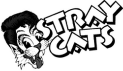 Stray Cats
