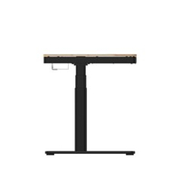 Стол для компьютера с электроприводом, QI-зарядкой и USB-портами FoxGear LIFTISCH FG-ED-55B