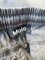 Шорты Molo, 122