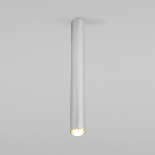 Накладной светодиодный светильник Elektrostandard Pika 25030/LED 6W 4200K серебро