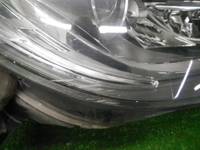 DSCN8711.JPG