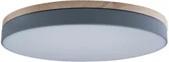 Потолочный светильник Axel 10001/36 Grey Loft It