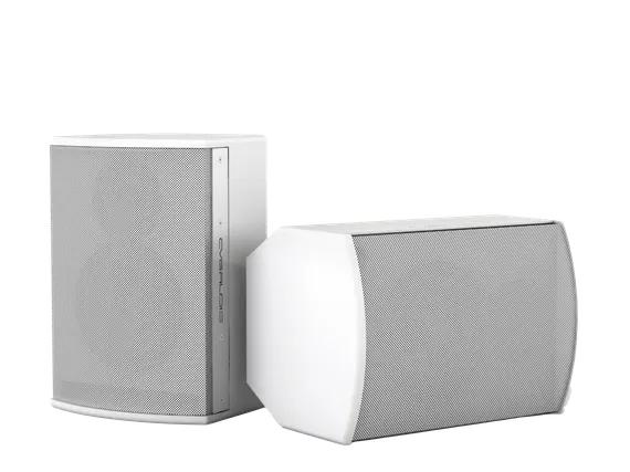 CVGAUDIO BS608TW корпусная акустическая система